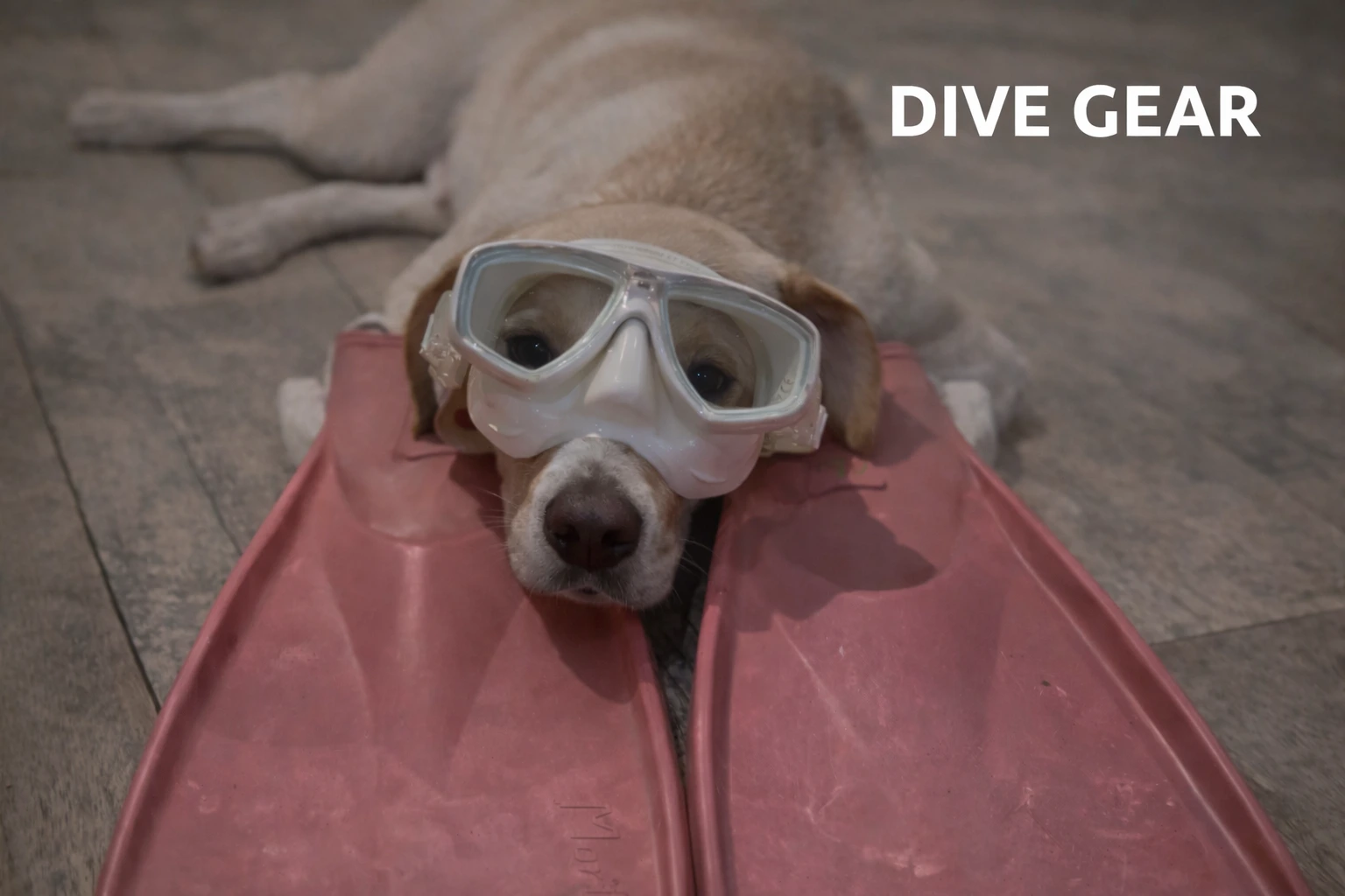 dive gear scuba equipment brisbane